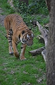 Kids_DZoo-SBreak2012 (214)